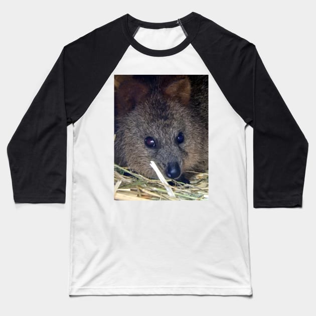 Quokka Baseball T-Shirt by kirstybush